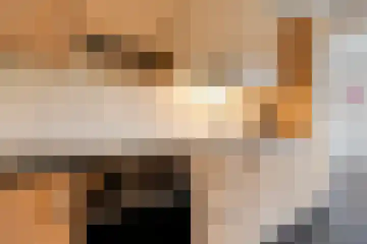 Heemsteres 57 Den Ham thumbnail 17