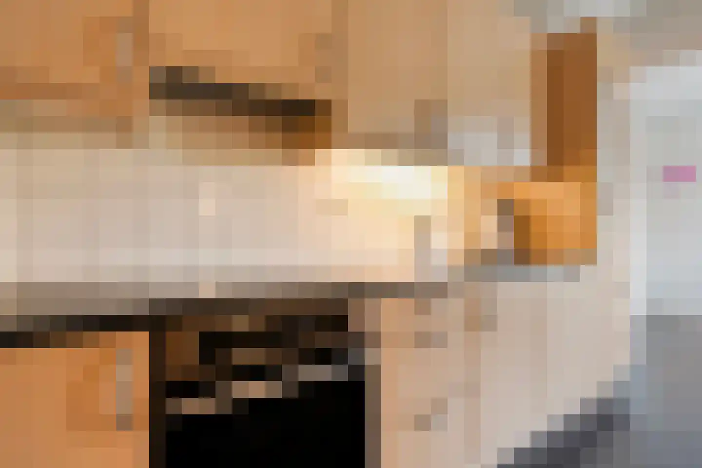 Heemsteres 57 Den Ham thumbnail 17
