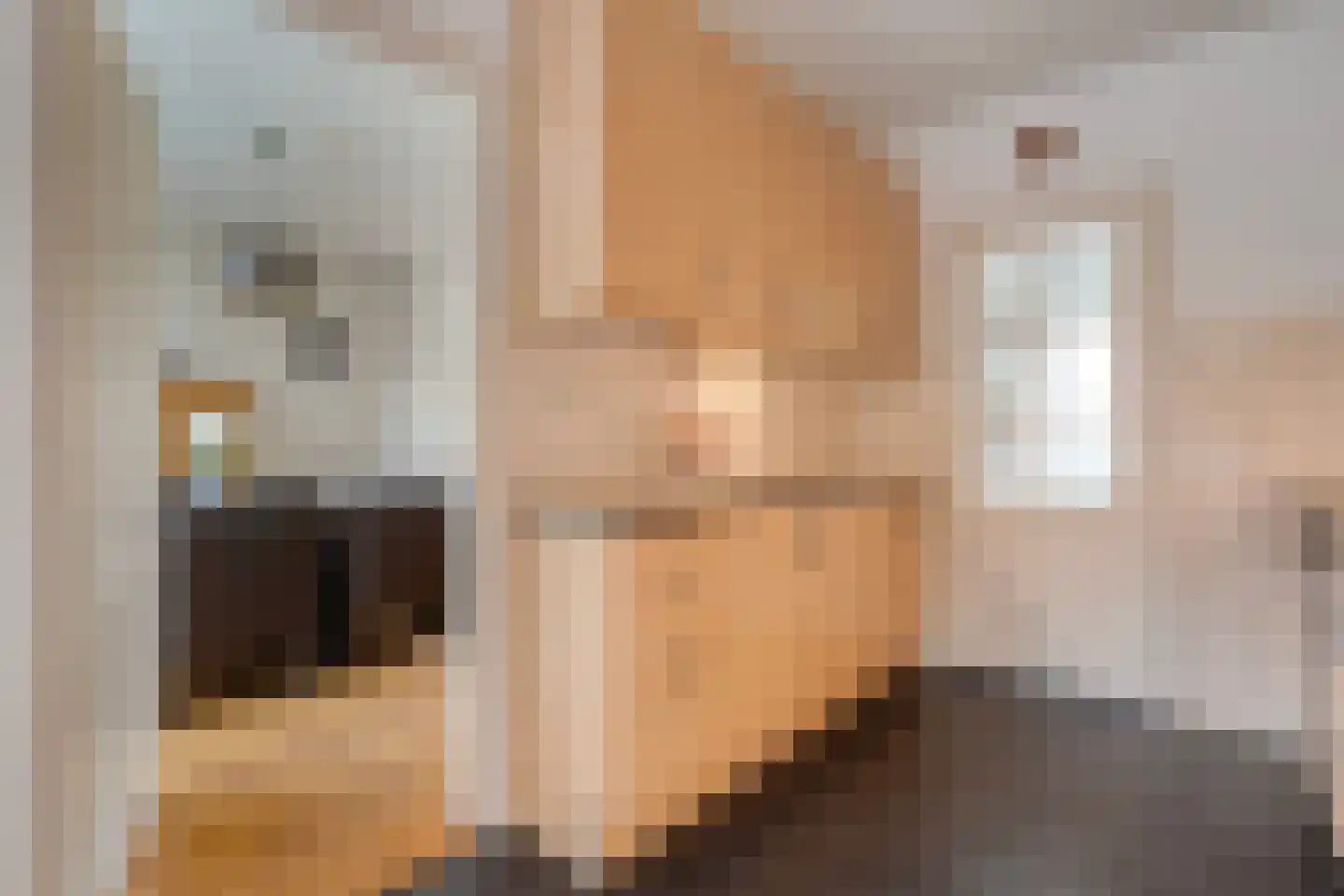 Heemsteres 57 Den Ham thumbnail 18
