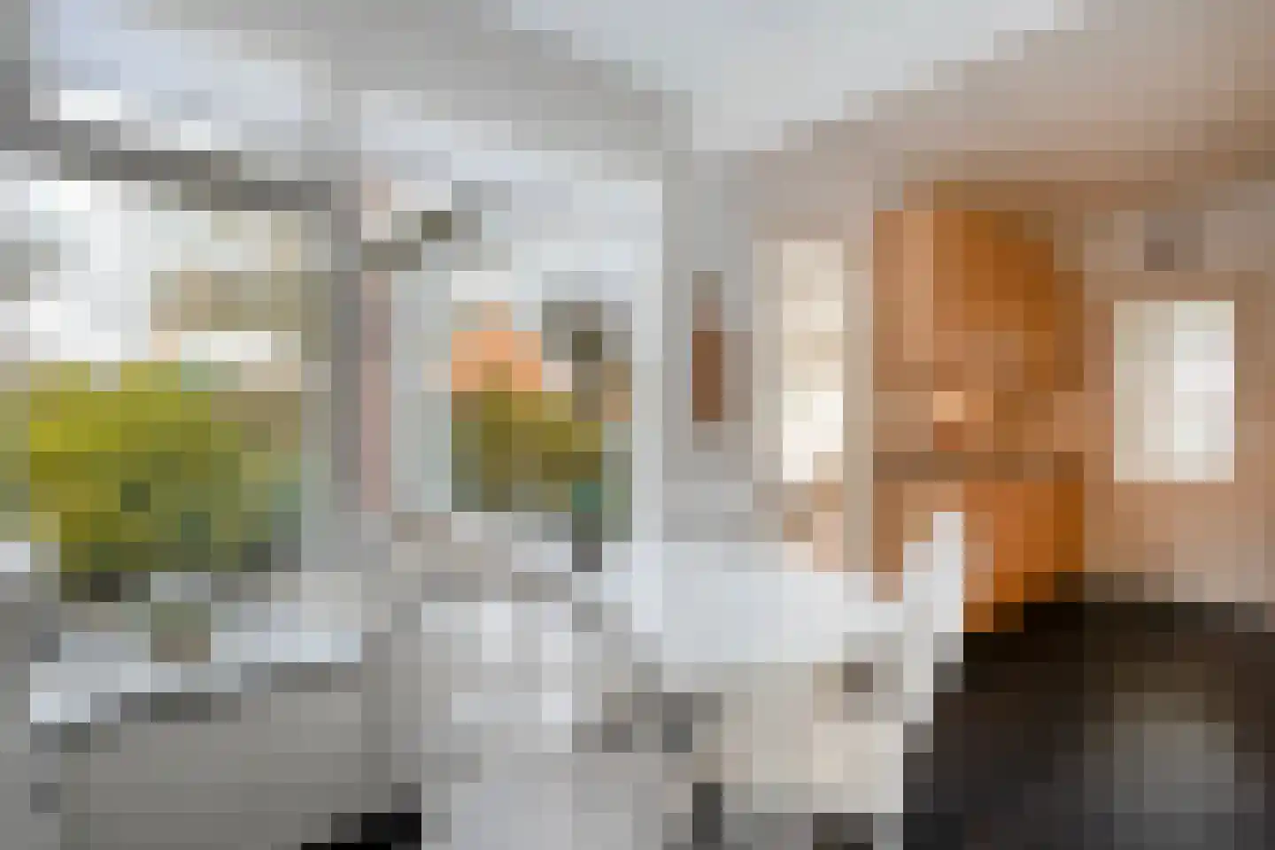 Heemsteres 57 Den Ham thumbnail 21