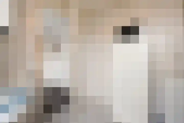 Heemsteres 57 Den Ham thumbnail 23