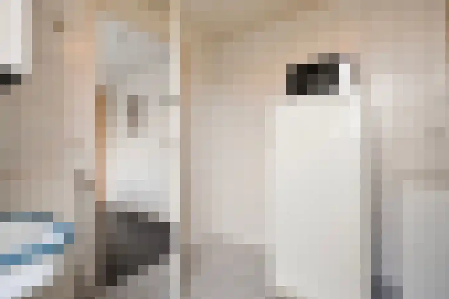 Heemsteres 57 Den Ham thumbnail 23