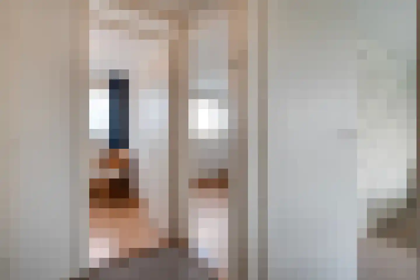 Heemsteres 57 Den Ham thumbnail 25