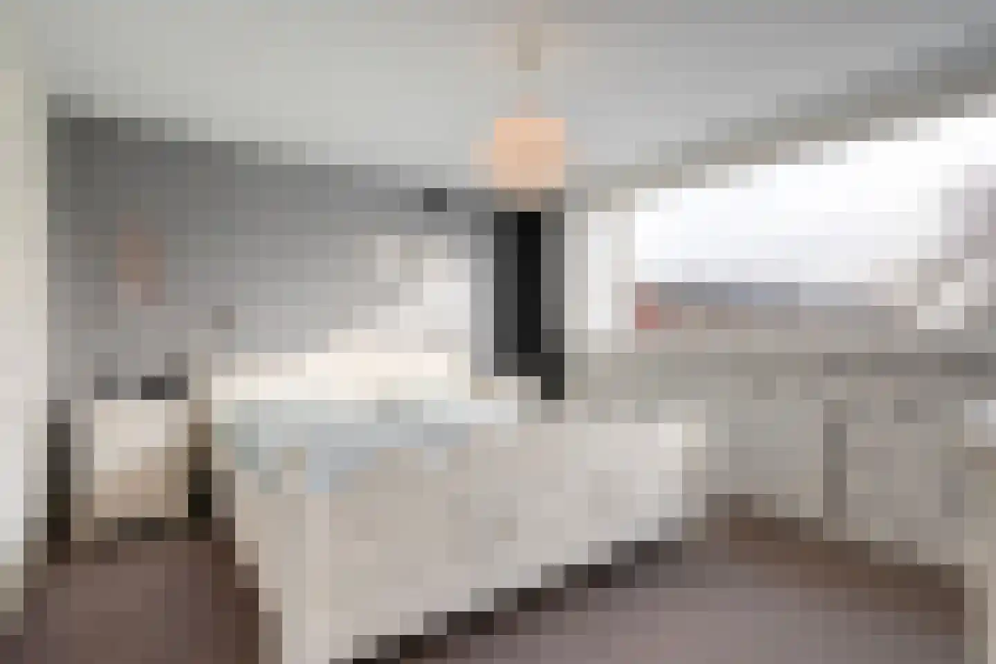 Heemsteres 57 Den Ham thumbnail 26