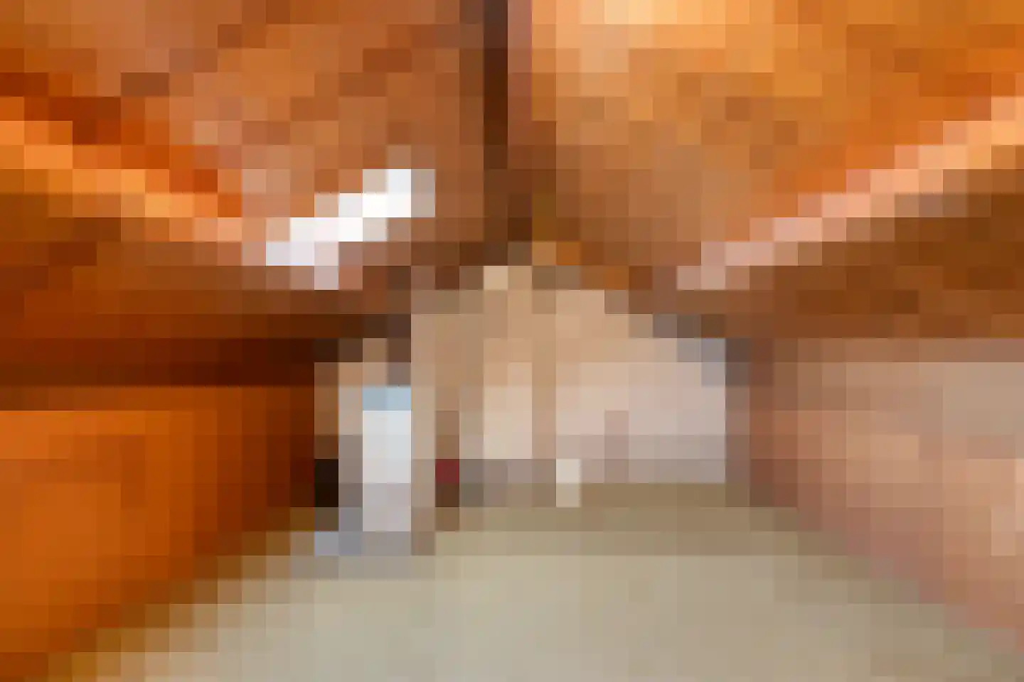 Heemsteres 57 Den Ham thumbnail 33
