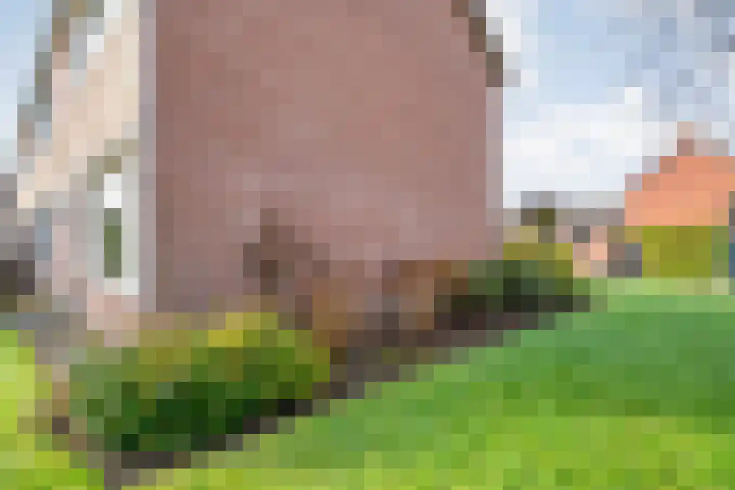 Heemsteres 57 Den Ham thumbnail 34