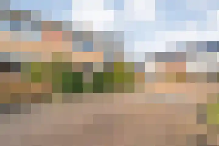 Heemsteres 57 Den Ham thumbnail 4