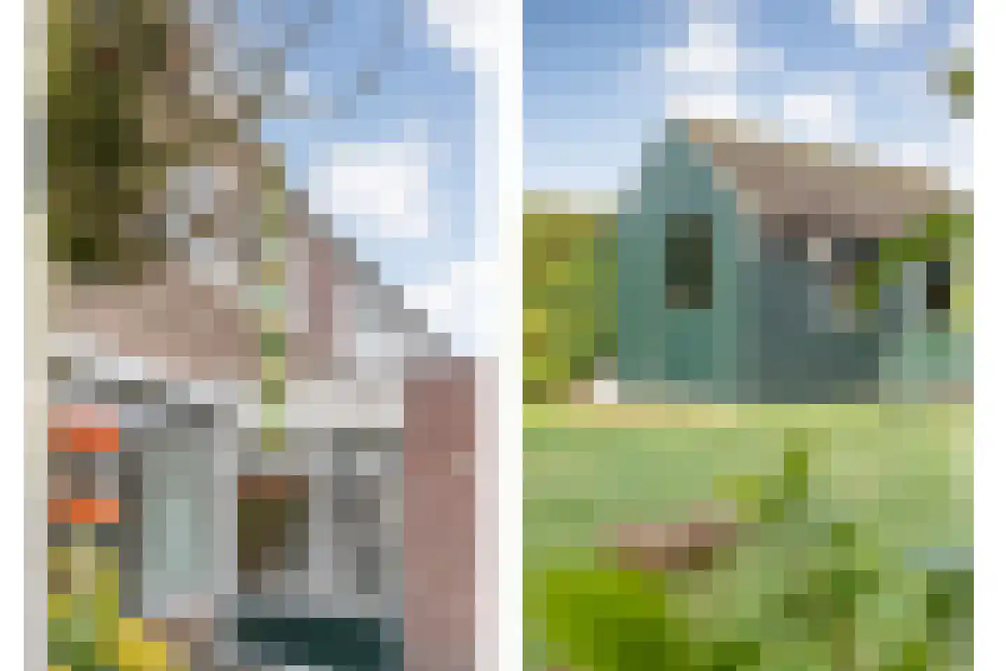 Heemsteres 57 Den Ham thumbnail 40
