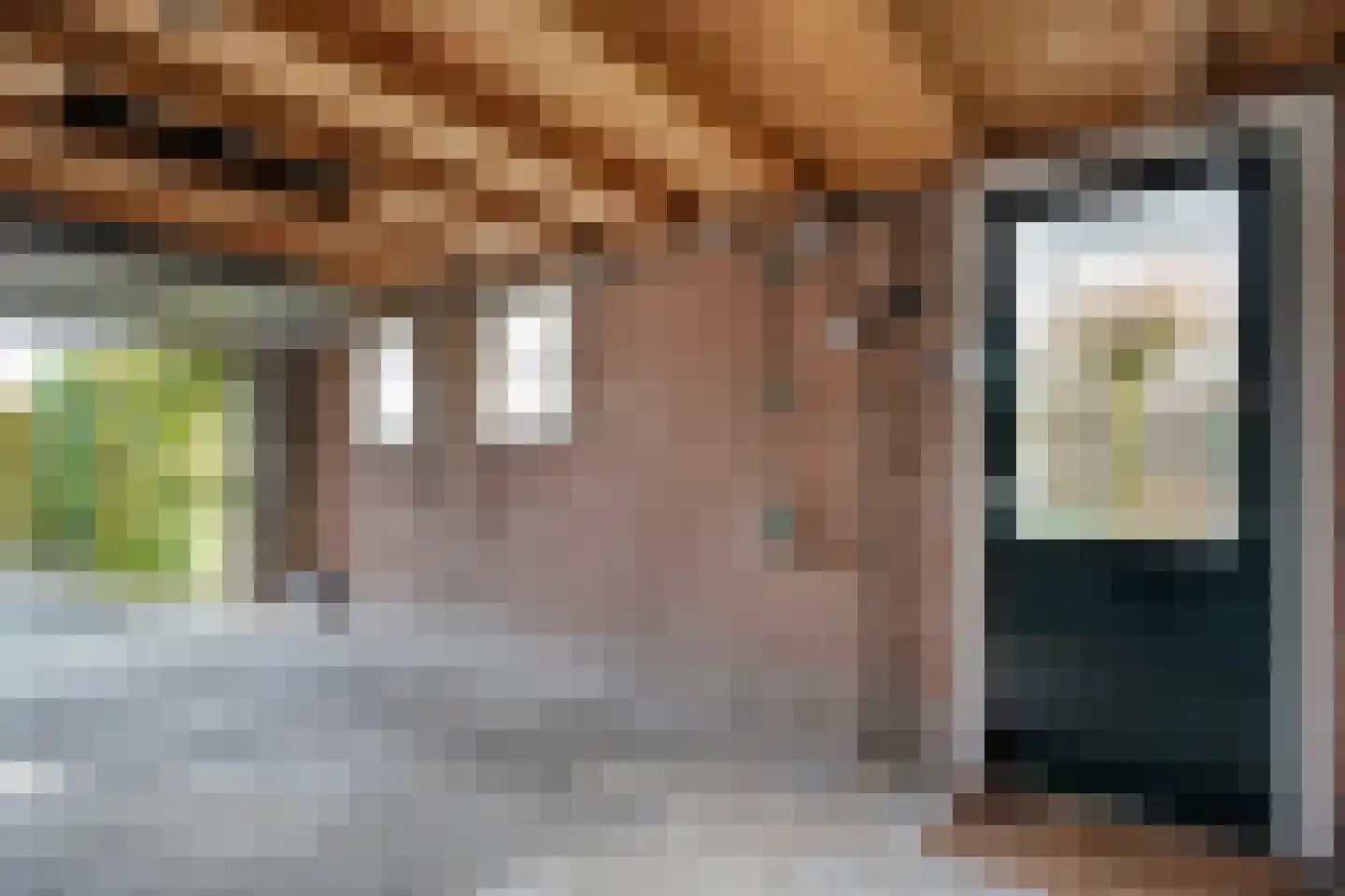 Heemsteres 57 Den Ham thumbnail 43