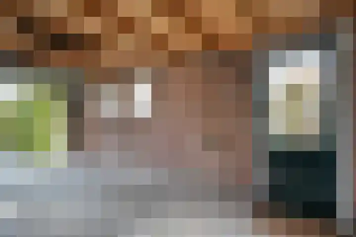 Heemsteres 57 Den Ham thumbnail 43