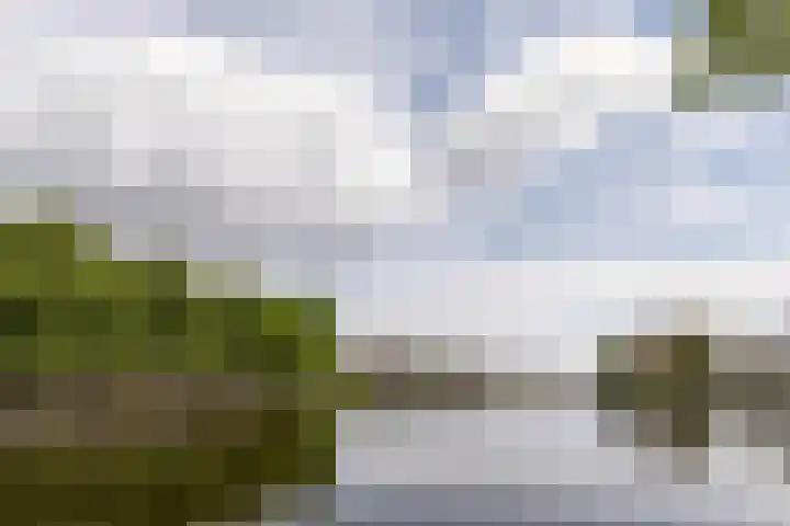 Heemsteres 57 Den Ham thumbnail 50