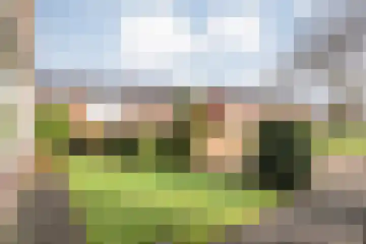 Heemsteres 57 Den Ham thumbnail 6