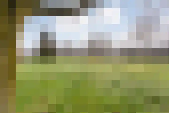 Heemsteres 57 Den Ham thumbnail 7