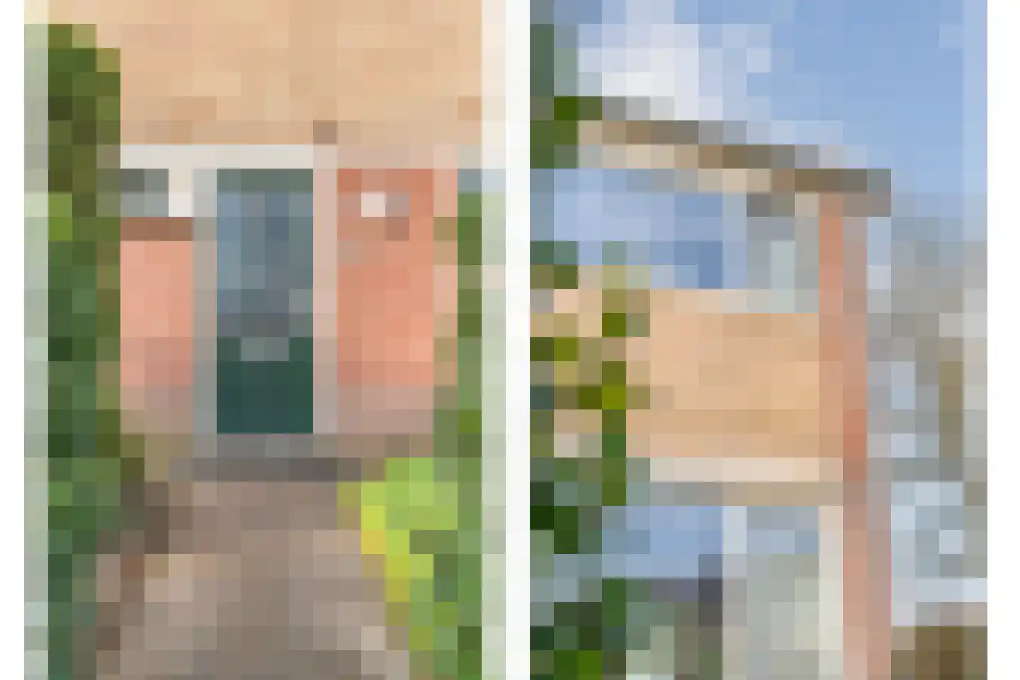Heemsteres 57 Den Ham thumbnail 8
