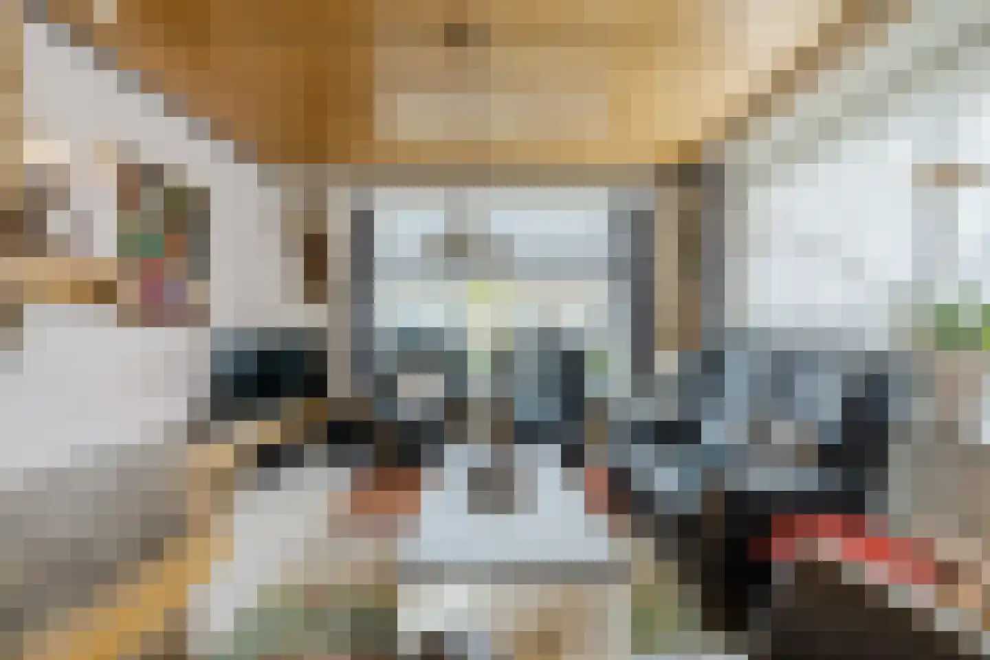 Heemsteres 73 Den Ham thumbnail 10