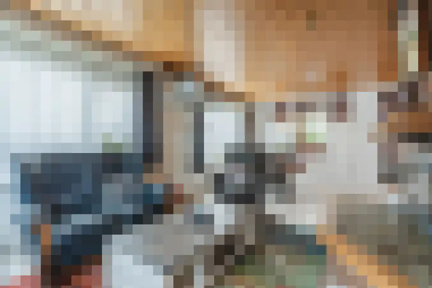 Heemsteres 73 Den Ham thumbnail 11