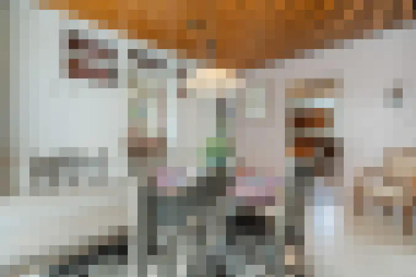 Heemsteres 73 Den Ham thumbnail 13