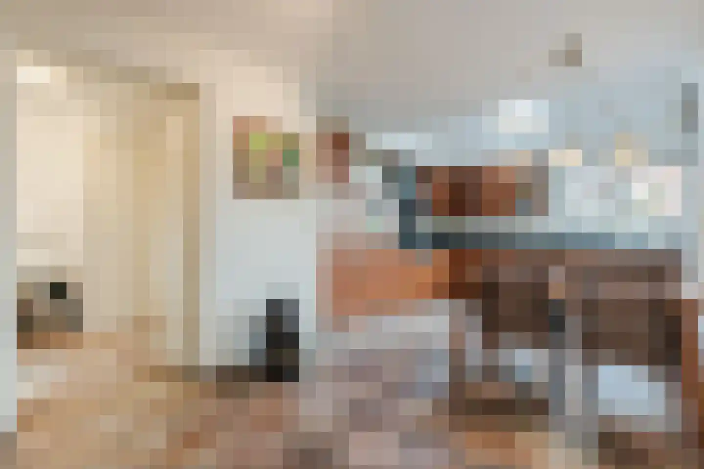 Heemsteres 73 Den Ham thumbnail 15