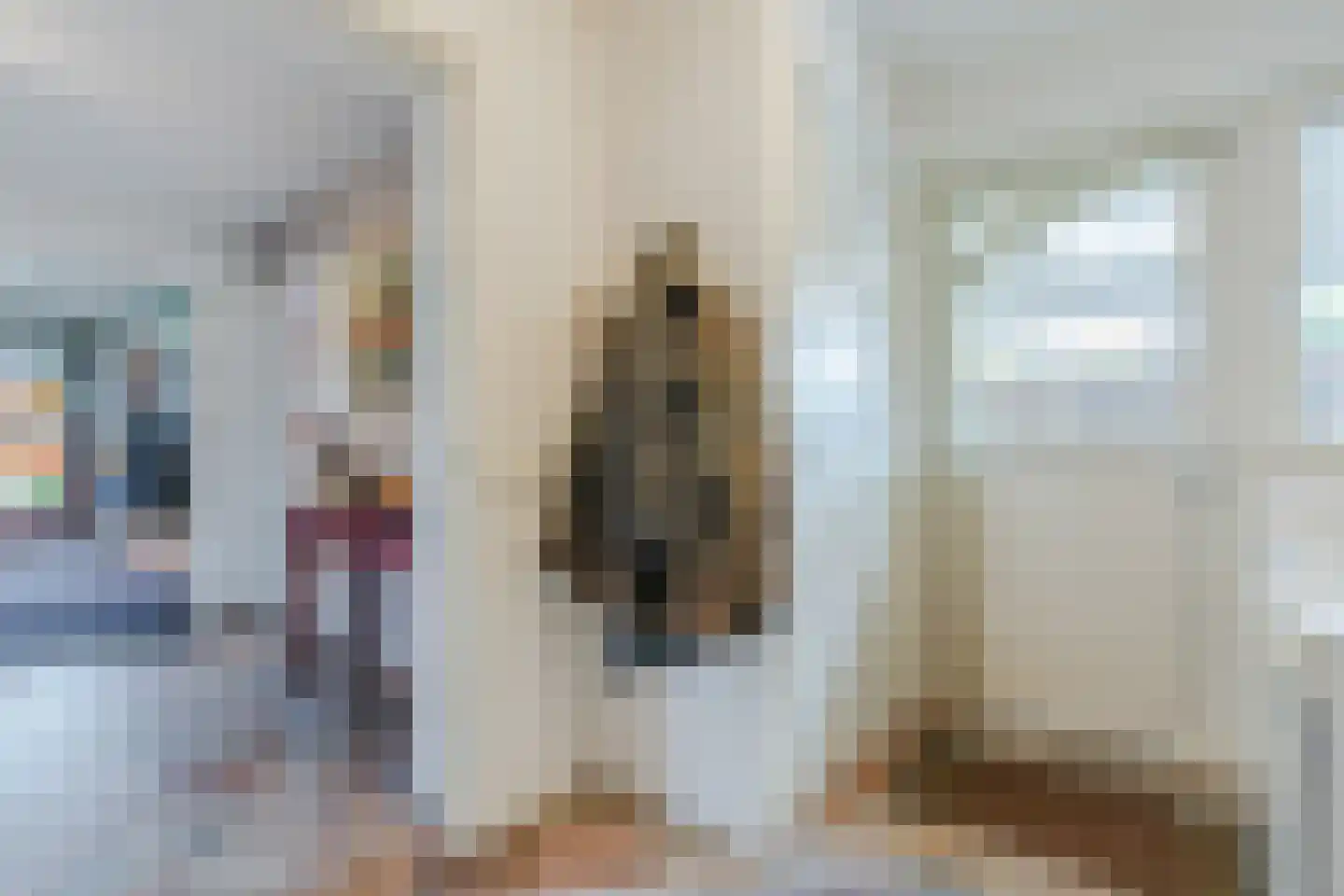 Heemsteres 73 Den Ham thumbnail 17