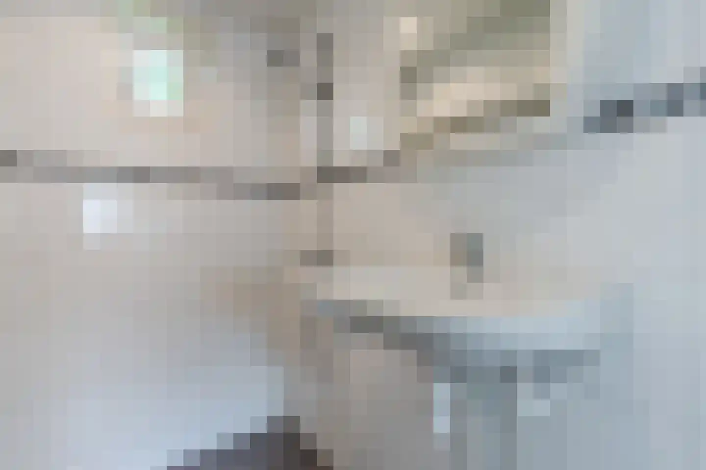 Heemsteres 73 Den Ham thumbnail 31