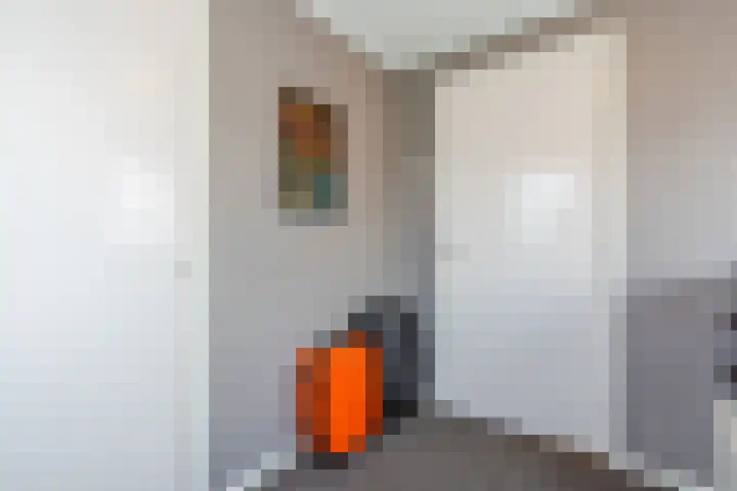 Heemsteres 73 Den Ham thumbnail 35