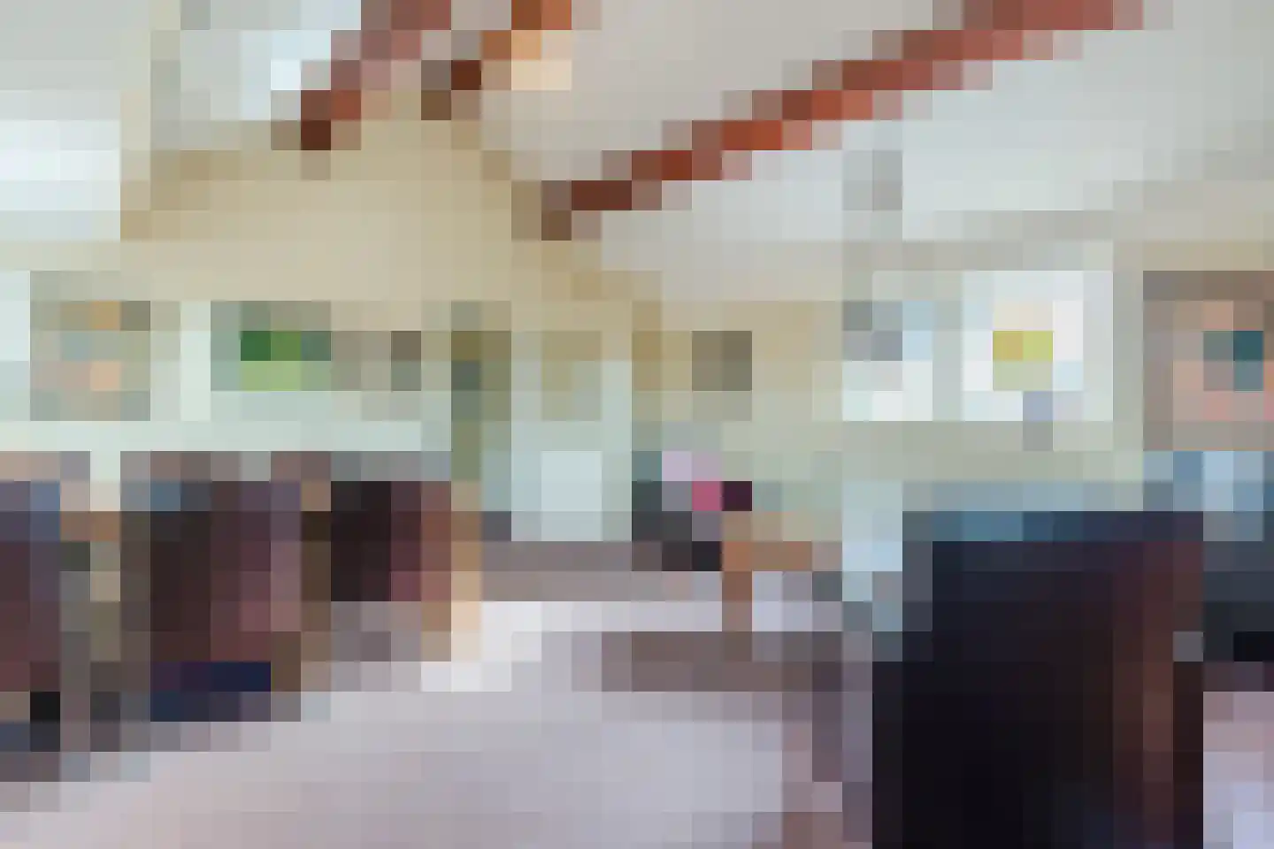 Heemsteres 73 Den Ham thumbnail 38
