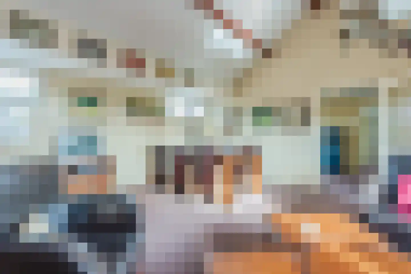 Heemsteres 73 Den Ham thumbnail 39
