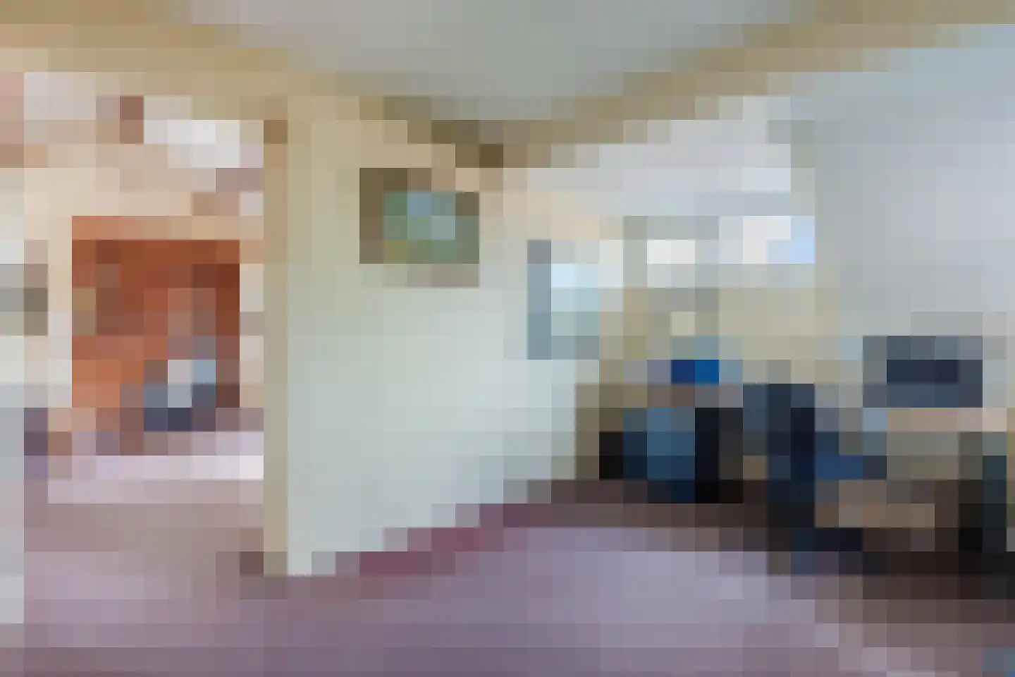 Heemsteres 73 Den Ham thumbnail 41