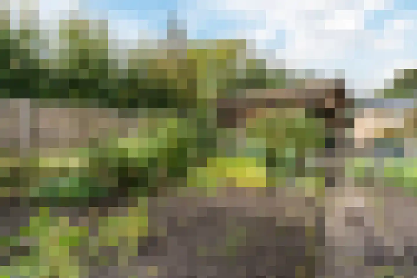 Heemsteres 73 Den Ham thumbnail 47