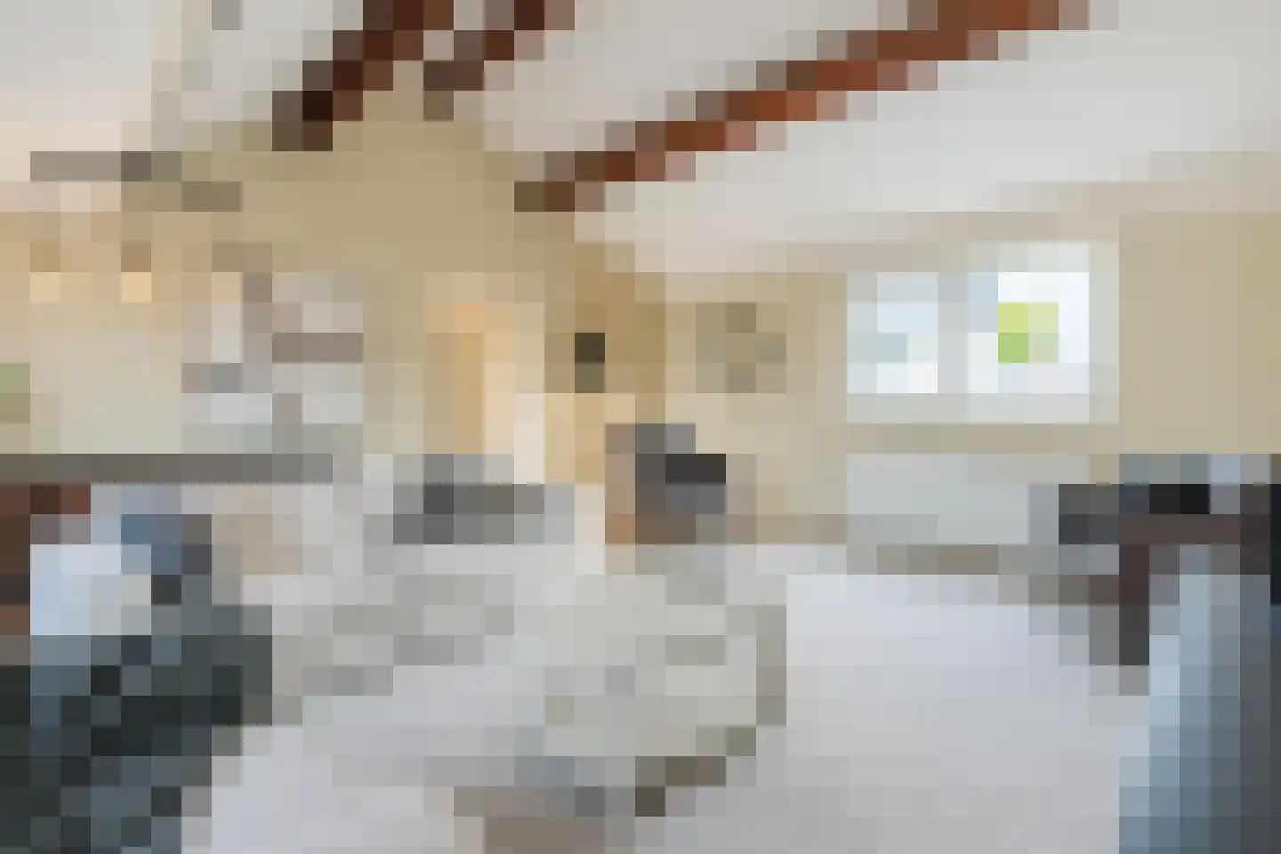 Heemsteres 73 Den Ham thumbnail 5