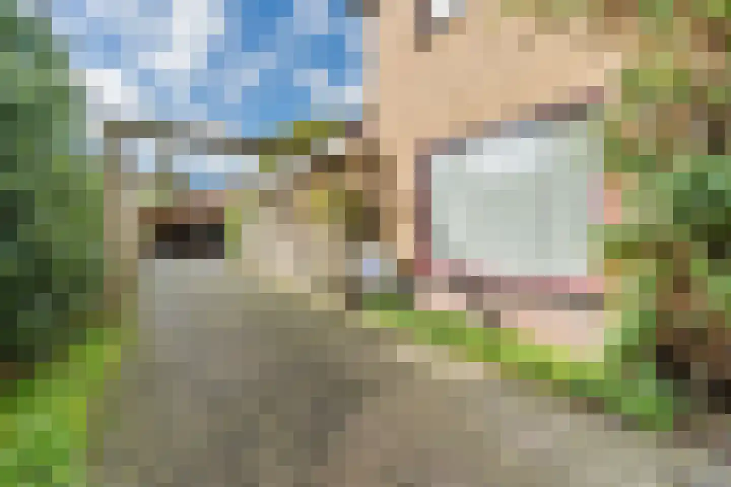 Heemsteres 73 Den Ham thumbnail 50