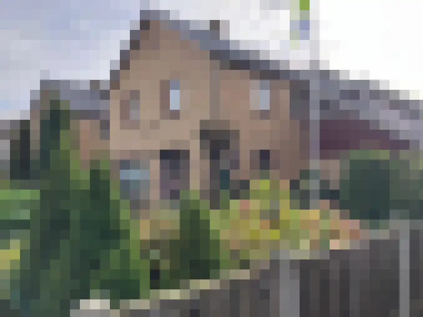 Heemsteres 73 Den Ham thumbnail 53