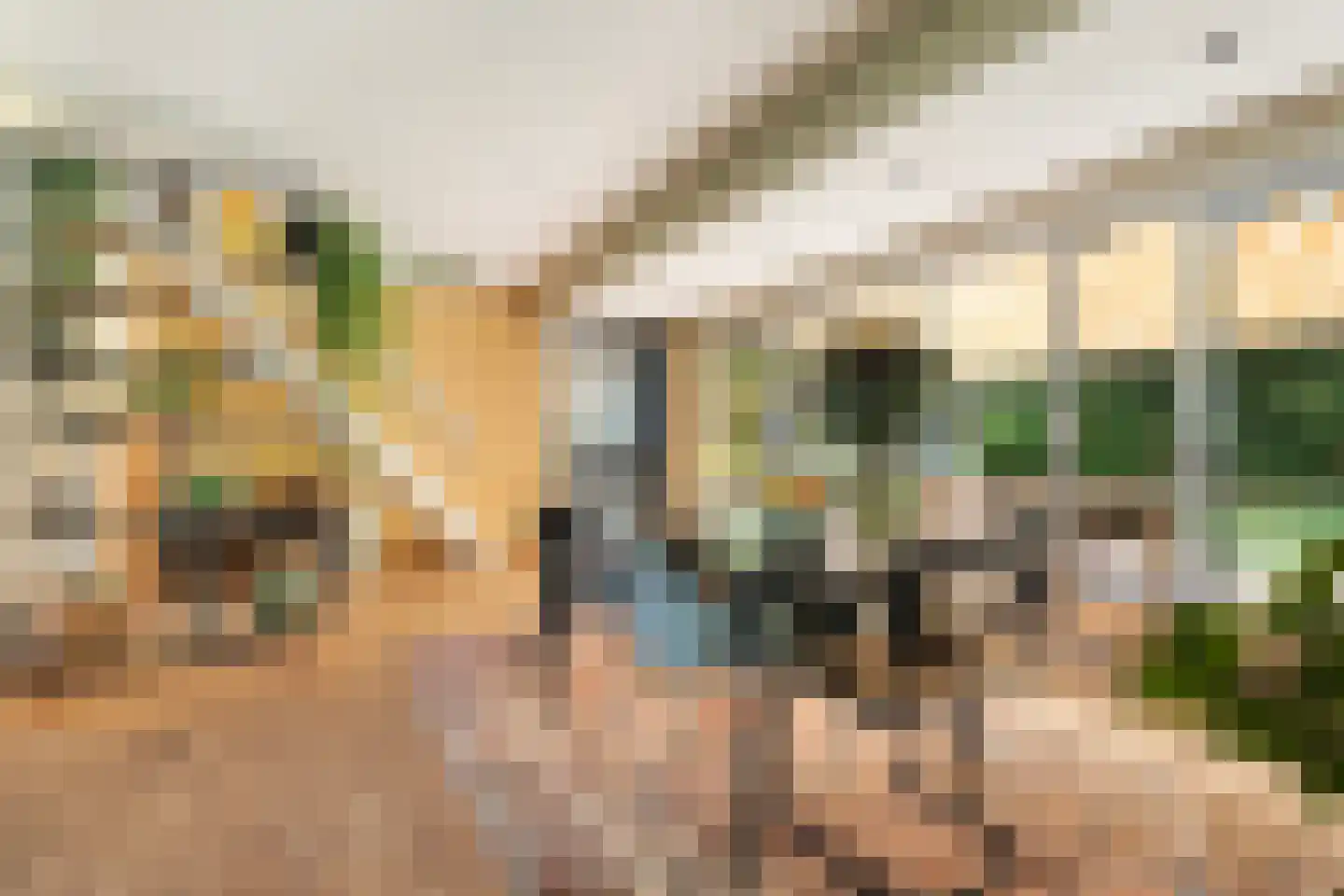 Heemstrasingel 6 Oentsjerk thumbnail 17