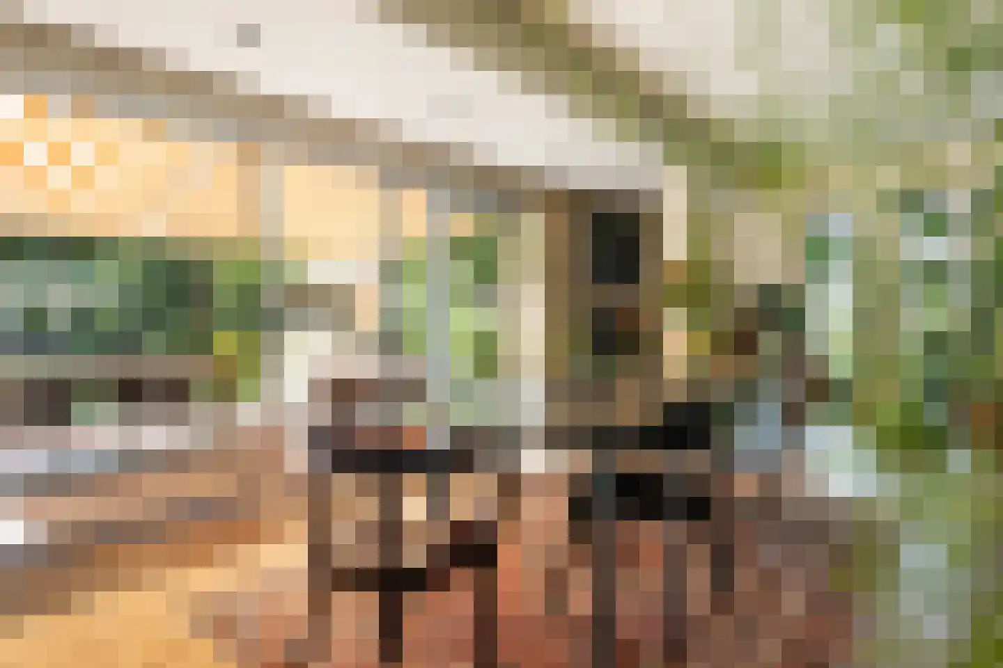 Heemstrasingel 6 Oentsjerk thumbnail 20