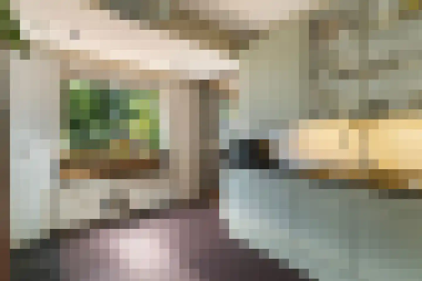 Heemstrasingel 6 Oentsjerk thumbnail 23