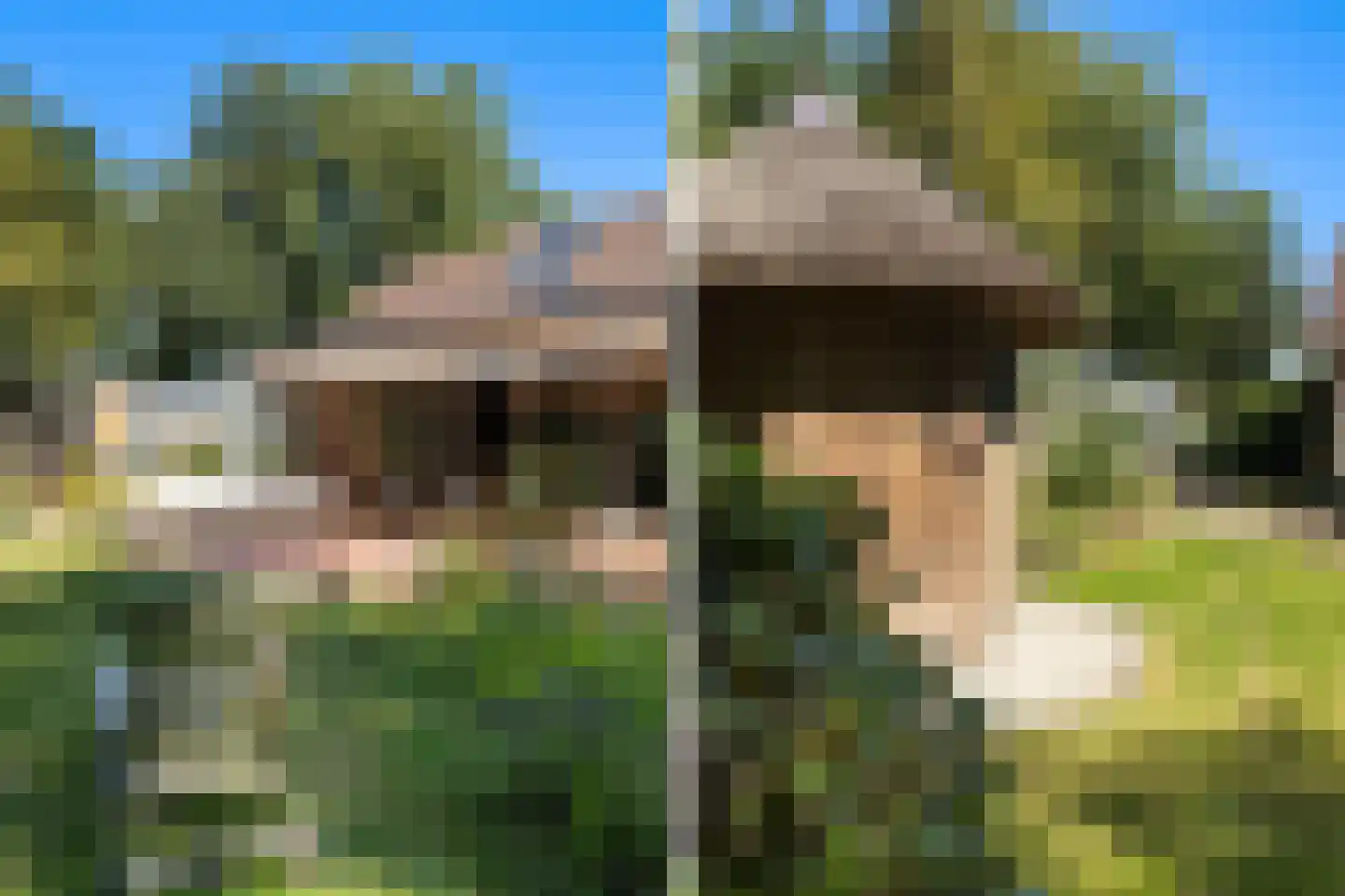 Heemstrasingel 6 Oentsjerk thumbnail 29