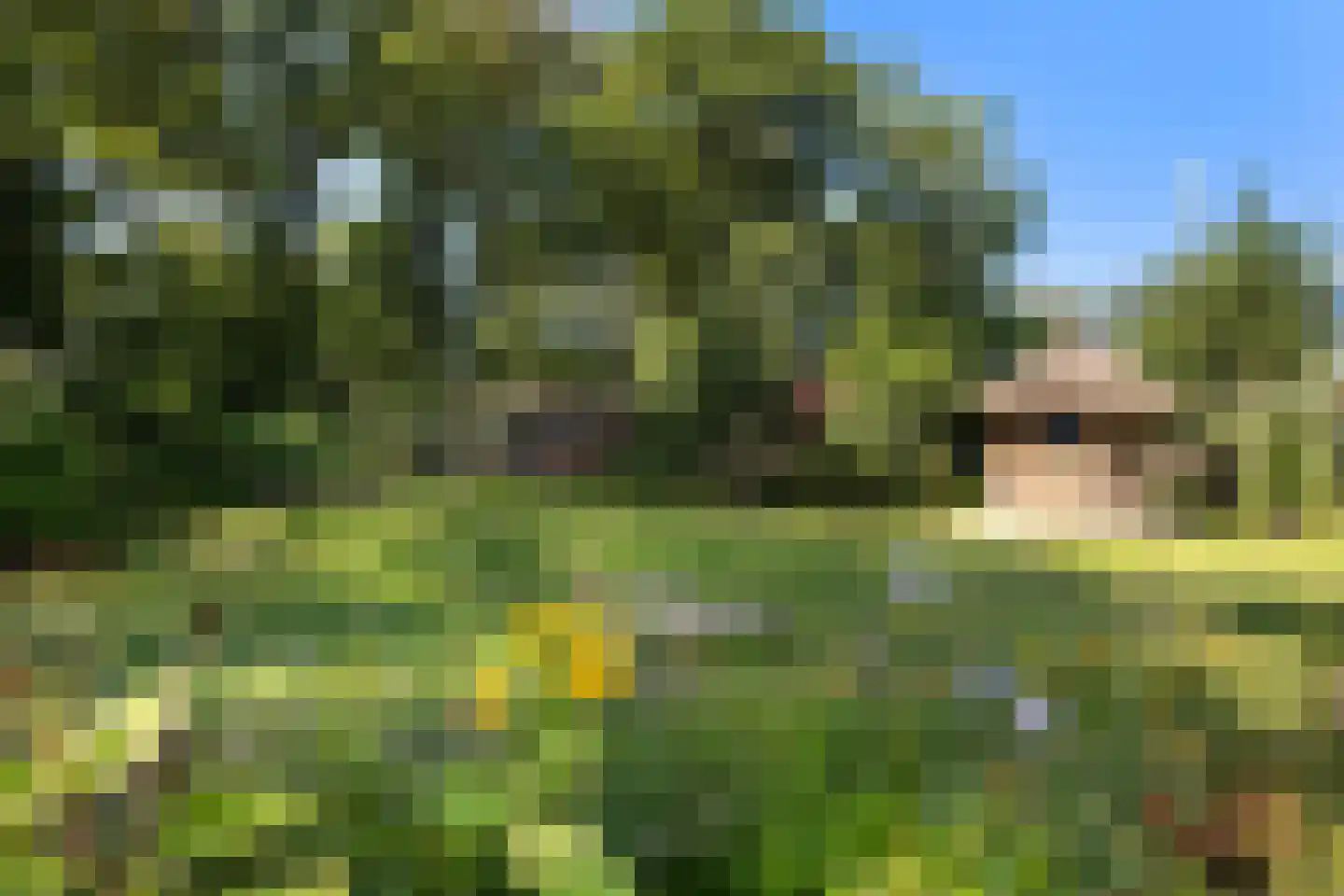 Heemstrasingel 6 Oentsjerk thumbnail 31