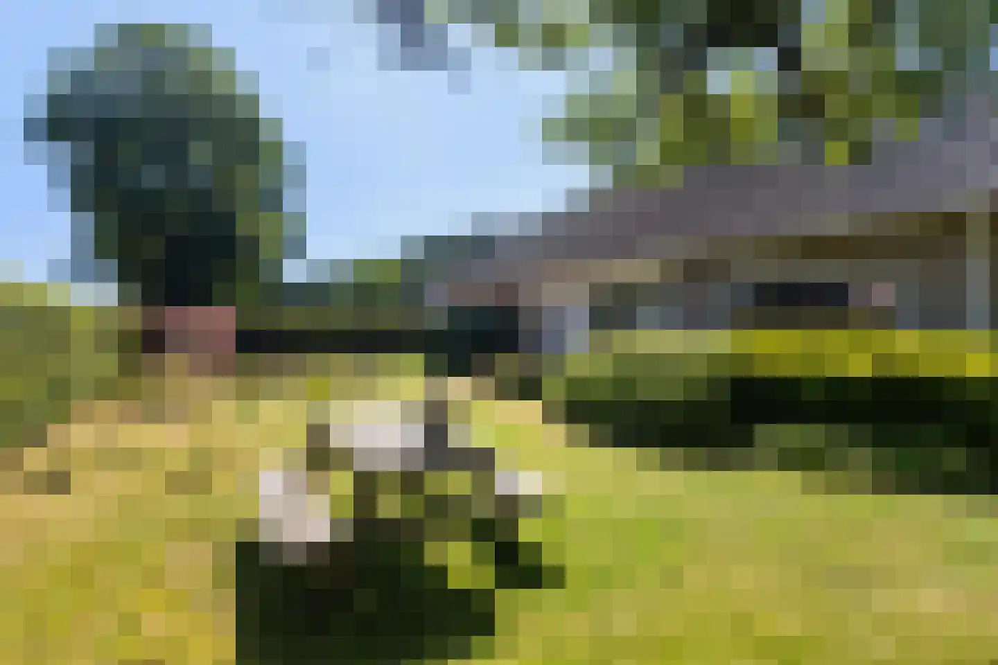 Heemstrasingel 6 Oentsjerk thumbnail 33