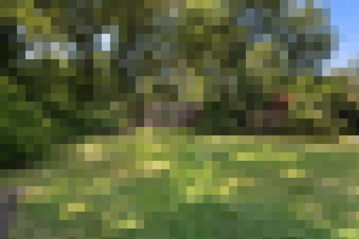 Heemstrasingel 6 Oentsjerk thumbnail 34