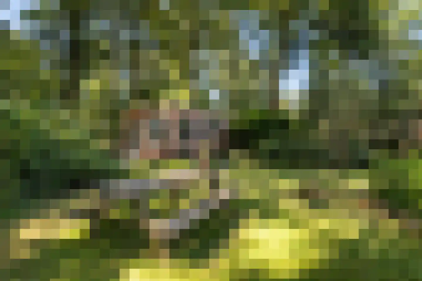 Heemstrasingel 6 Oentsjerk thumbnail 35
