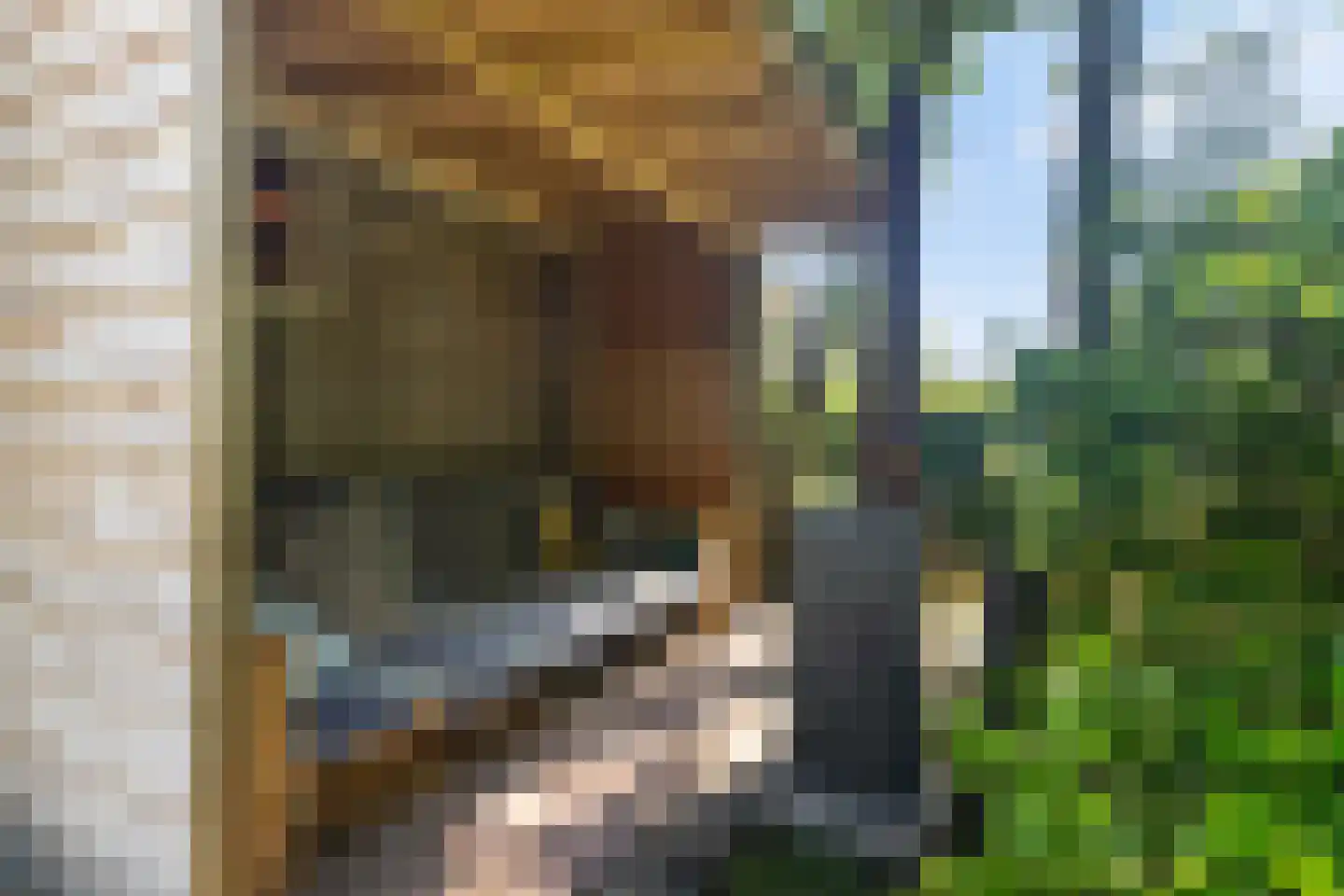 Heemstrasingel 6 Oentsjerk thumbnail 37