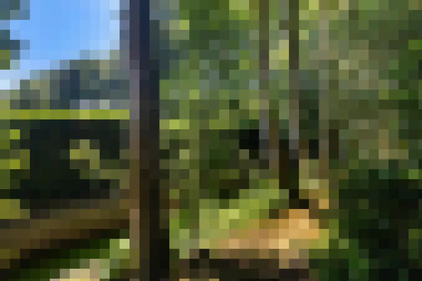 Heemstrasingel 6 Oentsjerk thumbnail 38