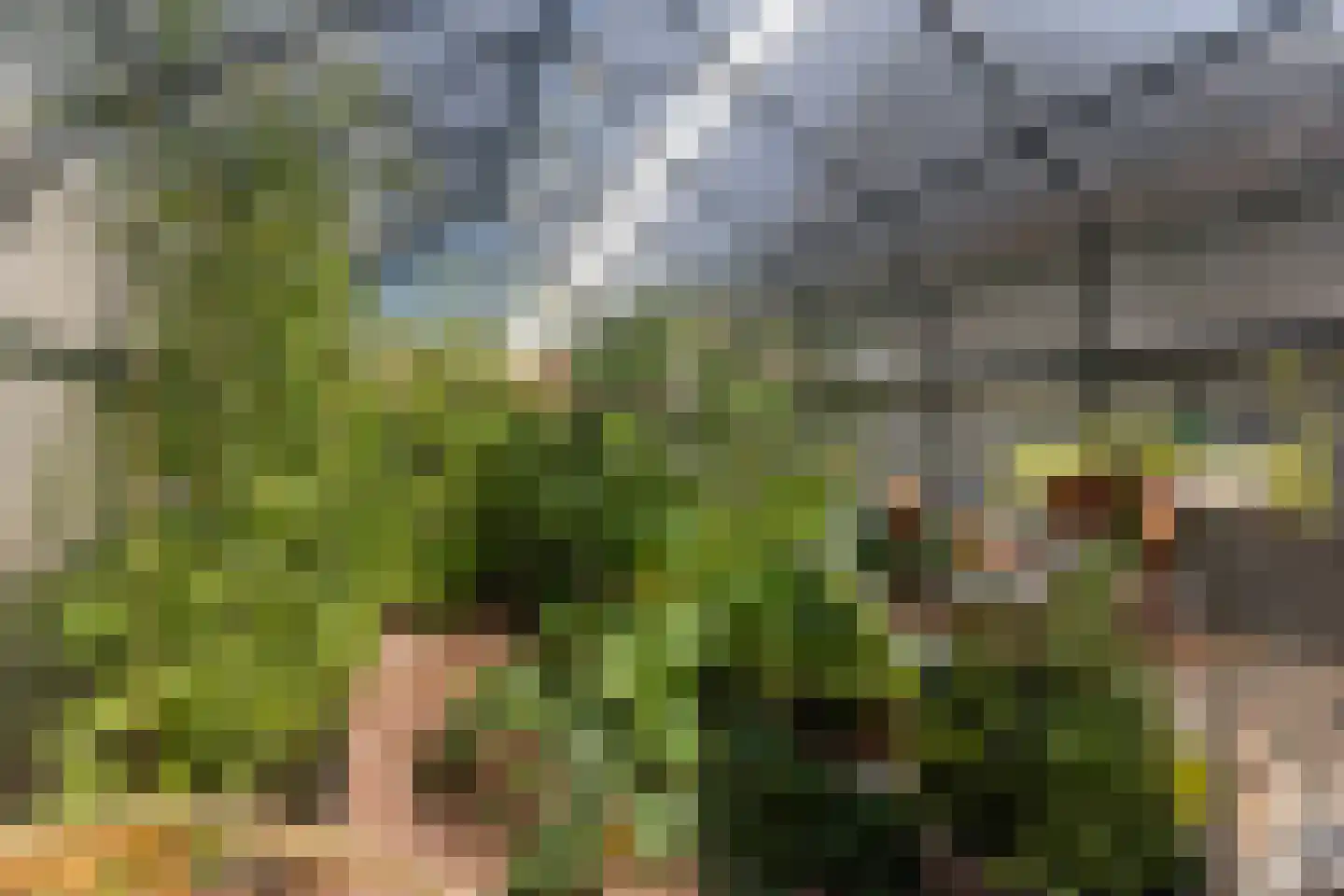 Heemstrasingel 6 Oentsjerk thumbnail 39