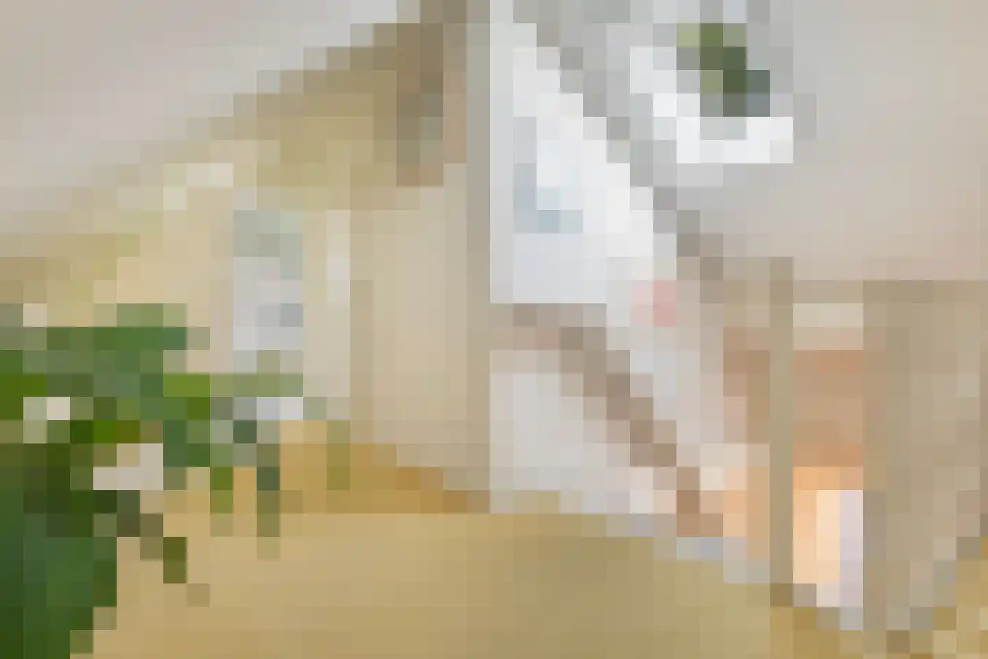 Heemstrasingel 6 Oentsjerk thumbnail 54