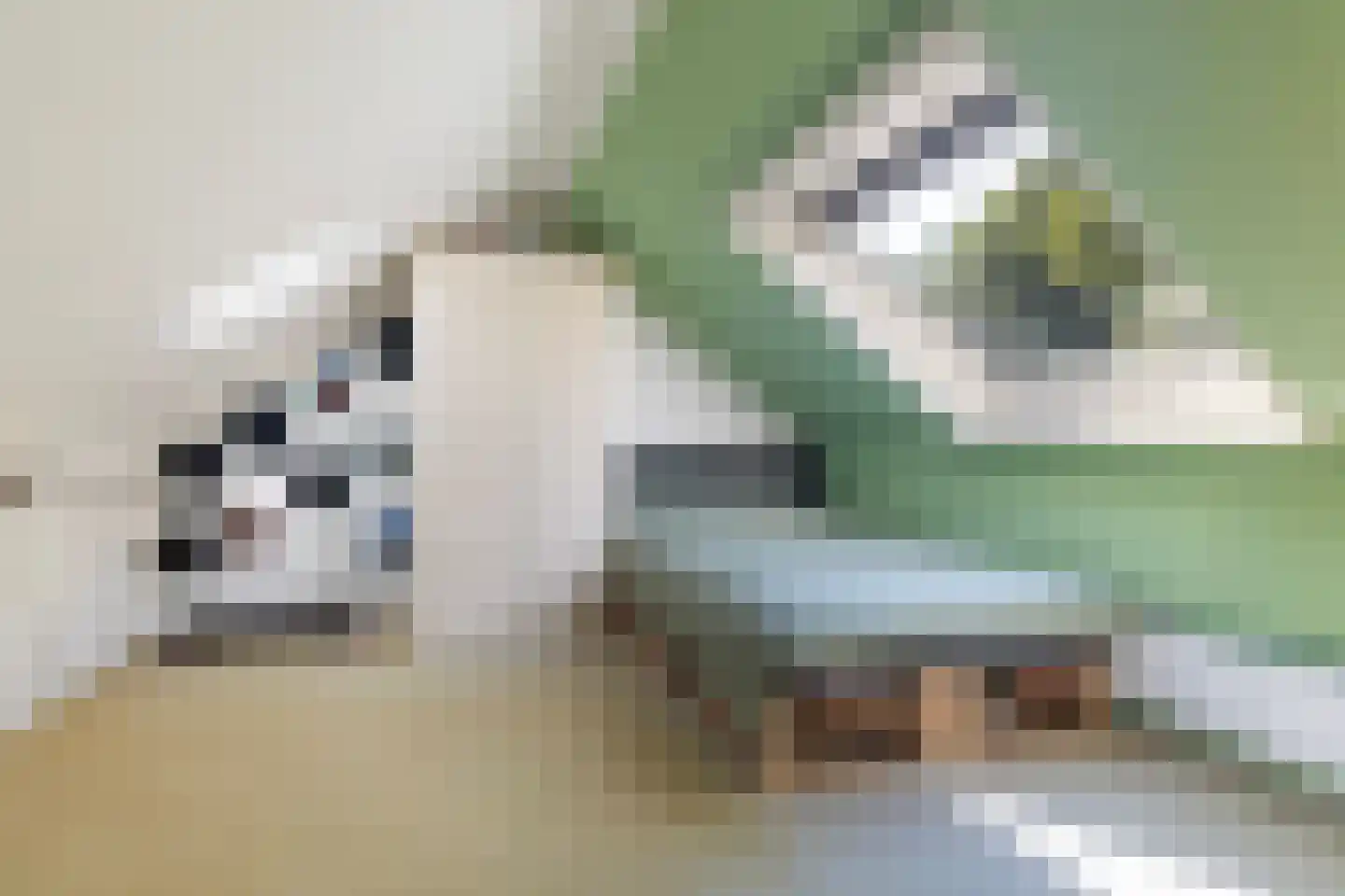 Heemstrasingel 6 Oentsjerk thumbnail 55