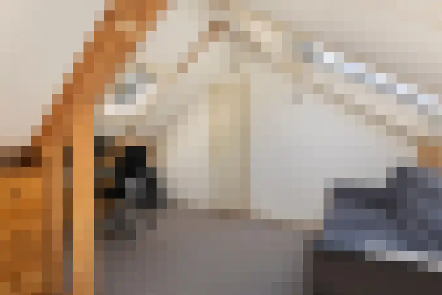 Heemstrasingel 6 Oentsjerk thumbnail 58