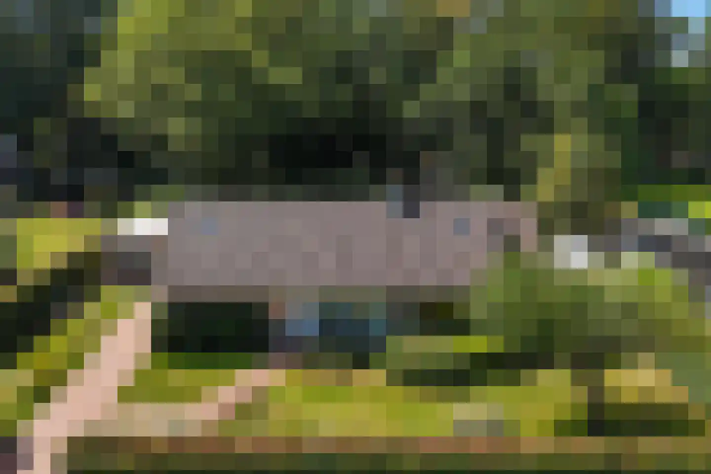 Heemstrasingel 6 Oentsjerk thumbnail 6