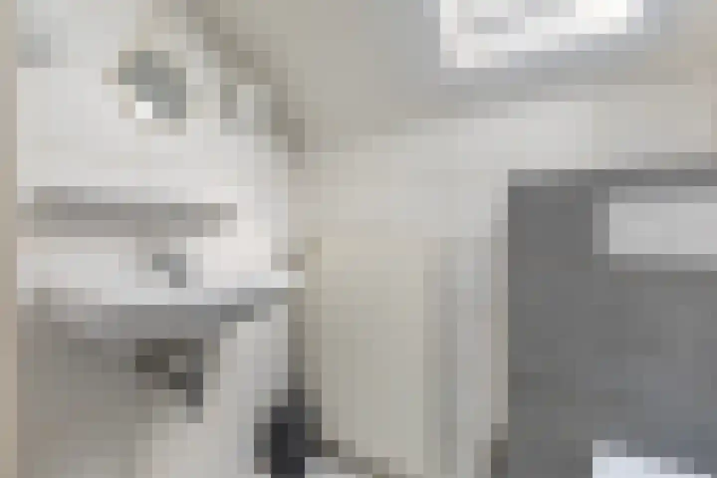 Heemstrasingel 6 Oentsjerk thumbnail 61