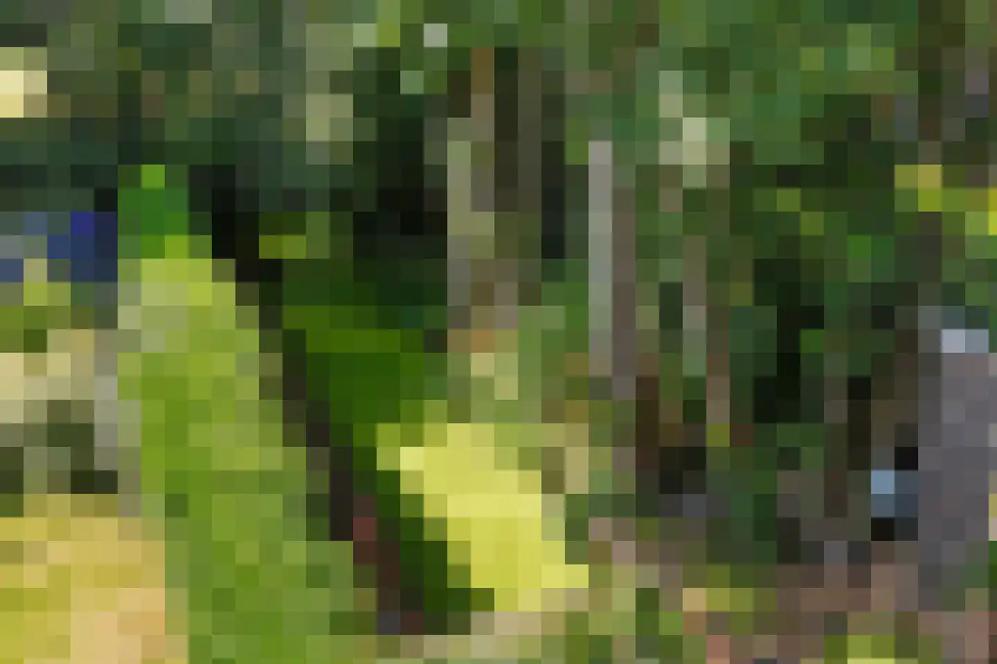 Heemstrasingel 6 Oentsjerk thumbnail 68