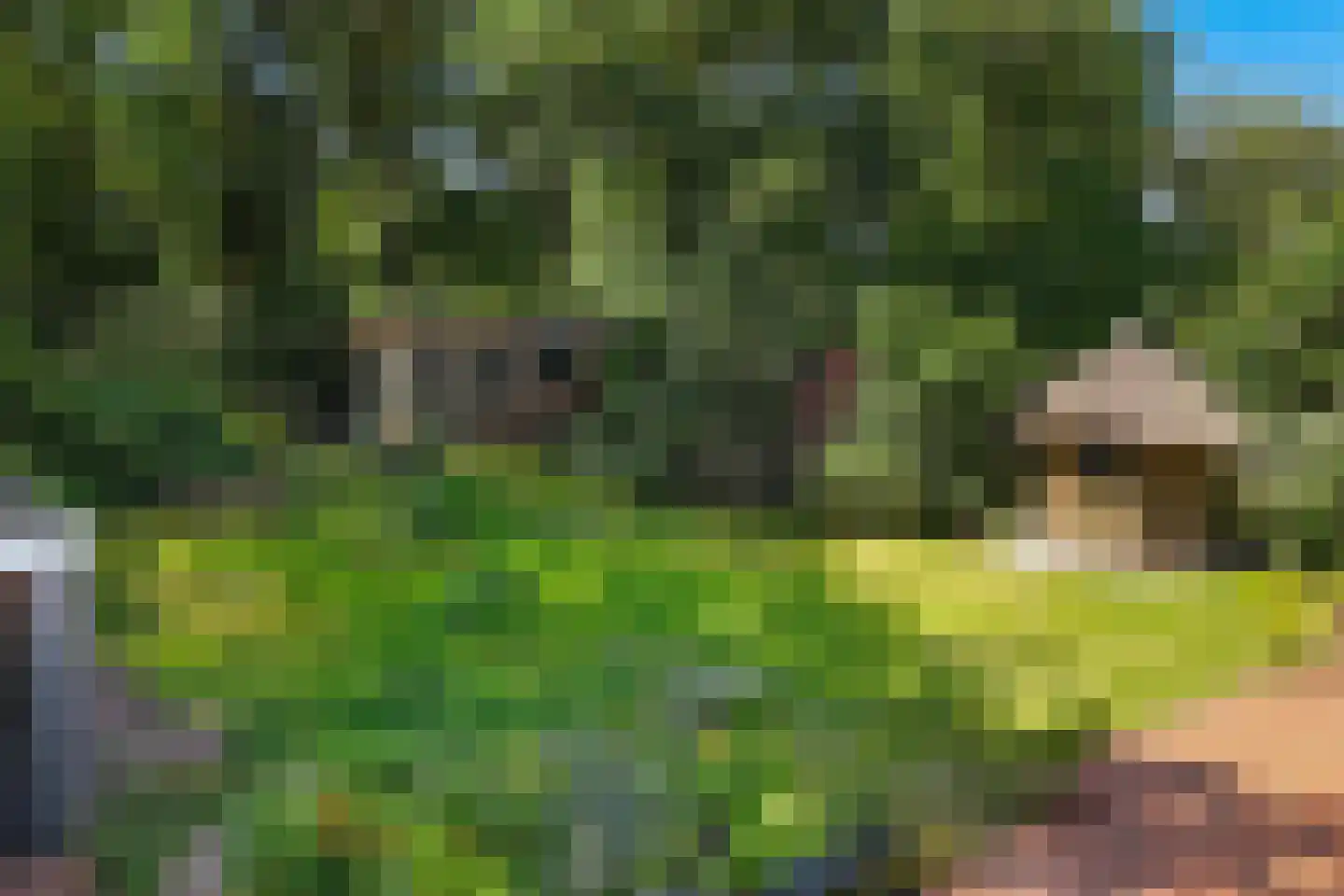 Heemstrasingel 6 Oentsjerk thumbnail 69